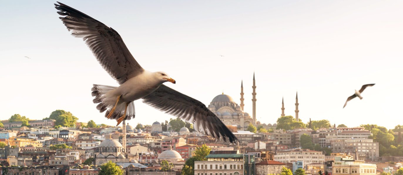 Istanbul Antalya Tour
