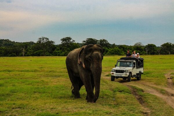 Srilanka-tour-packages