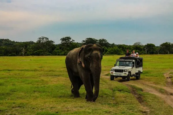 Srilanka-tour-packages