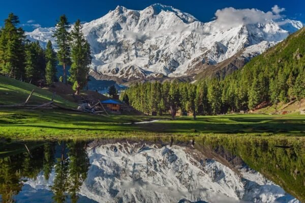 Fairy meadows hunza tour