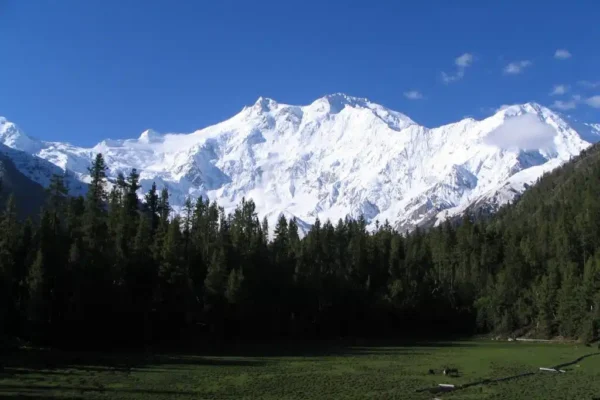Nanga Parbat is famous for its stunning natural beauty. From the top, panoramic views of the Himalayas and the Indus Valley can be appreciated. In addition, the mountain has a great diversity of flora and fauna, including endangered species such as the snow leopard and the brown bear that we will analyze later.