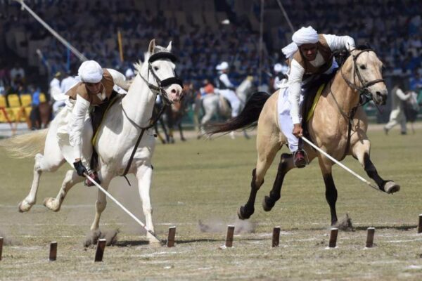 national-horse-and-cattle-show festival in pakistan