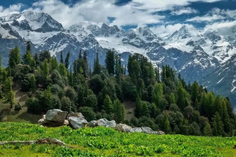 chukail meadows swat