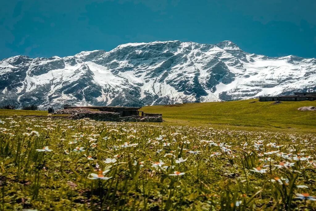 chukail meadows trek