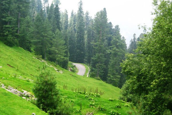 nathiagali